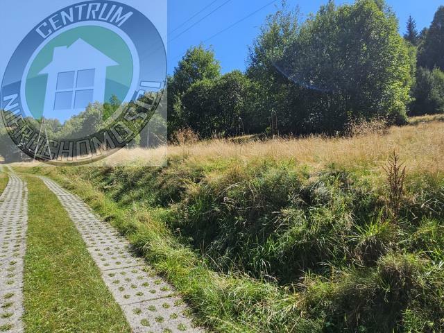 Działka budowlana Piwniczna