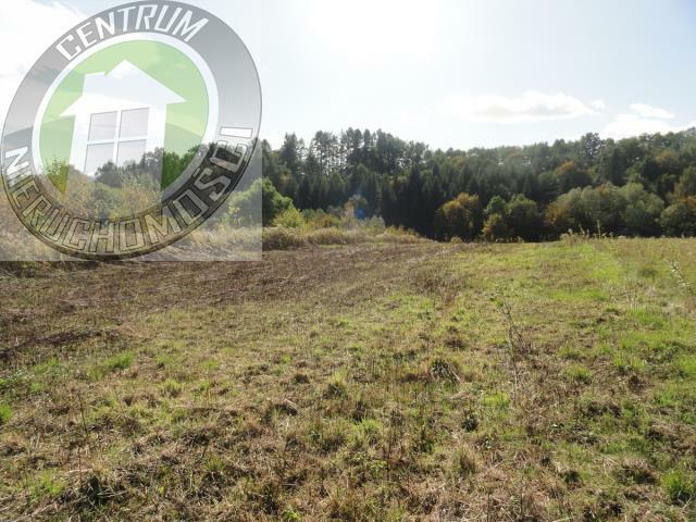 Działka budowlana Niskowa gm. Chełmiec