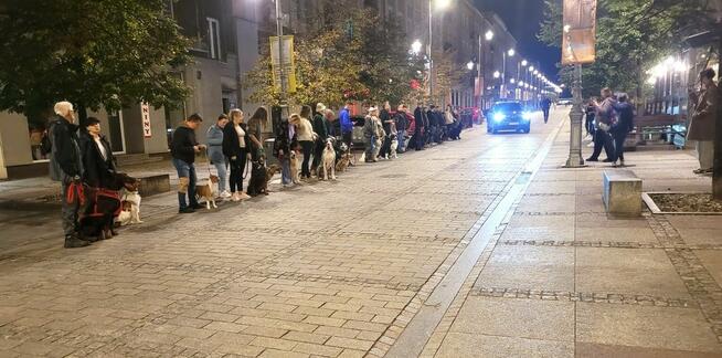 Szkolenie psów Kielce www.szkoleniepsowkielce.eu