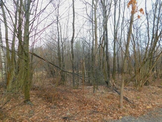 Syndyk sprzeda - Stefanków