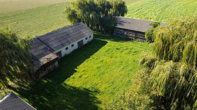 Siedlisko w Łuniewie Wielkim