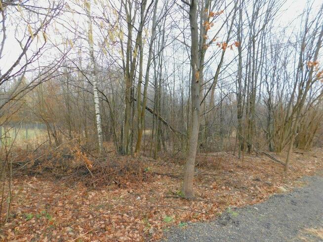 Syndyk sprzeda - Stefanków