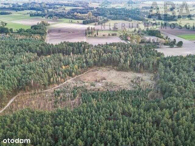 Działki rolne na sprzedaż - Myślibórz, Kolno gm. Golina