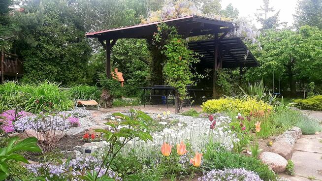 Sprzedam dom z ogrodem+ miejsce prowadzenia biznesu