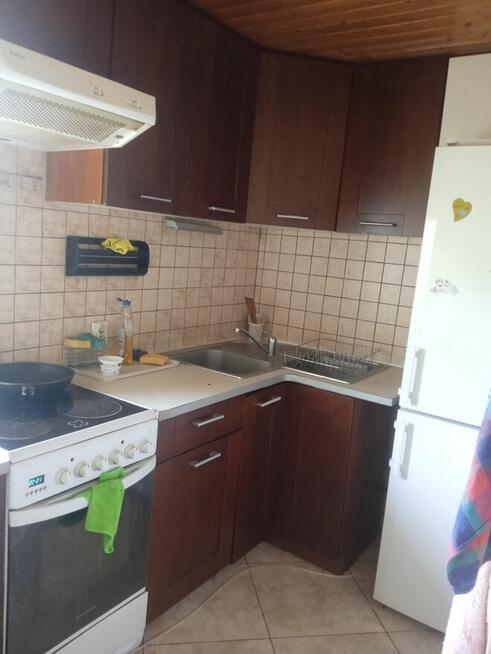 Pokój dla 1 lub 2 osób do wynajecia