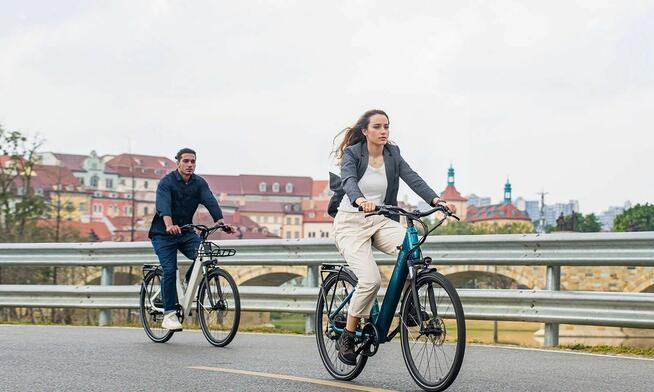 Fiido C11 2025 miejski ebike 250W 48V 90KM 24.5kg