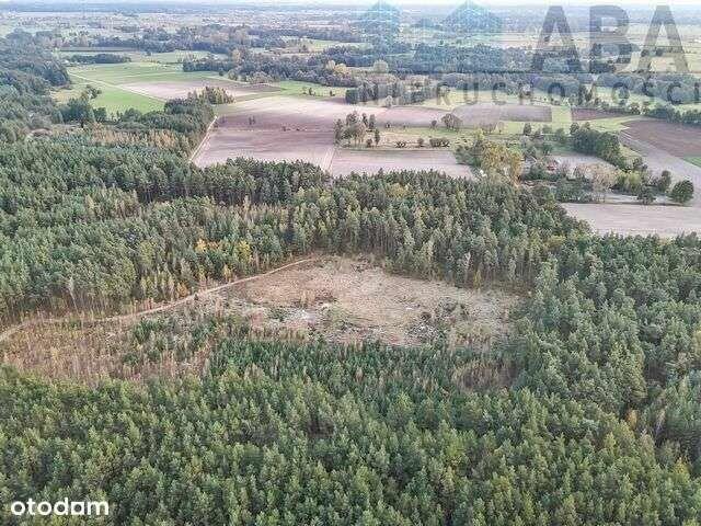 Działki rolne na sprzedaż - Myślibórz, Kolno gm. Golina