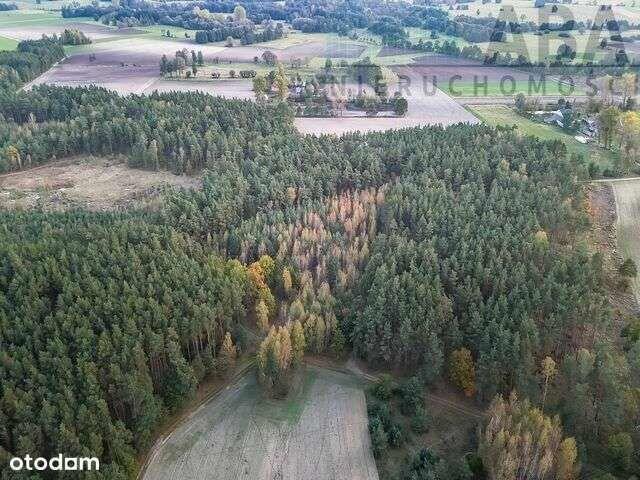 Działki rolne na sprzedaż - Myślibórz, Kolno gm. Golina