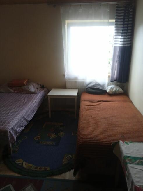 Pokój dla 1 lub 2 osób do wynajecia