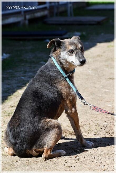 Flora: coraz bardziej ufa ludziom