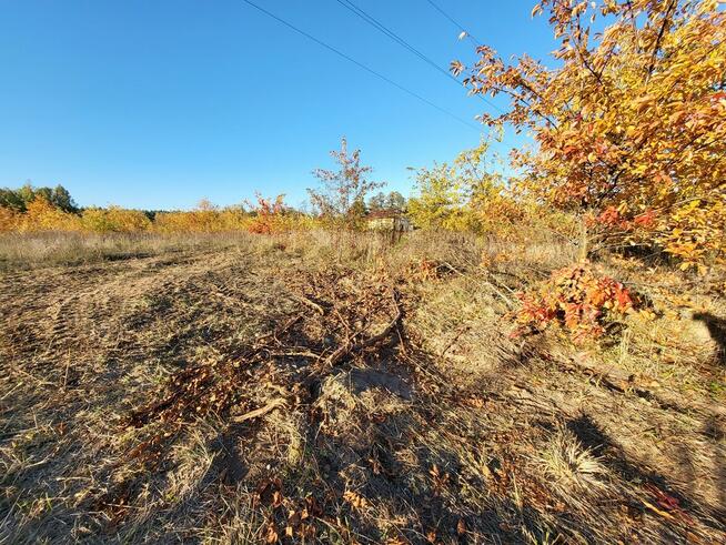 DZIAŁKA W DOSKONAŁEJ LOKALIZACJI!