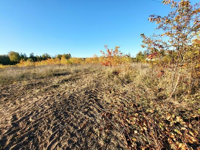 DZIAŁKA W DOSKONAŁEJ LOKALIZACJI!