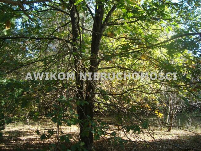 Działka budowlana Żelechów gm. Żabia Wola