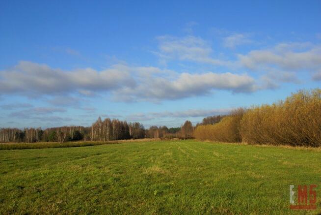 Działka siedliskowa Kuriany gm. Zabłudów