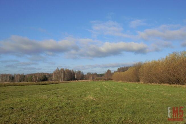 Działka siedliskowa Kuriany gm. Zabłudów