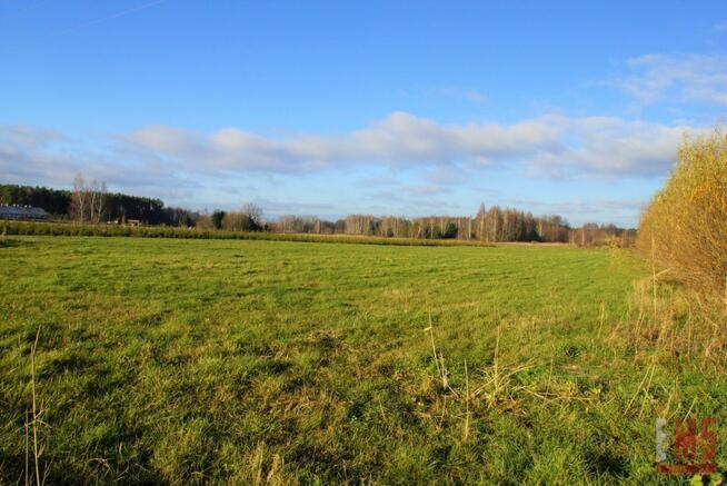 Działka siedliskowa Kuriany gm. Zabłudów