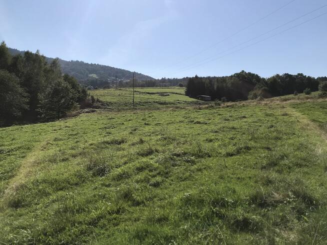 Działka budowlana Brzuśnik gm. Radziechowy-Wieprz,