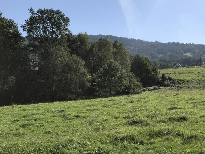 Działka budowlana Brzuśnik gm. Radziechowy-Wieprz,