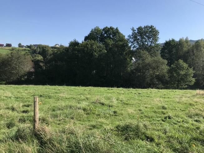 Działka budowlana Brzuśnik gm. Radziechowy-Wieprz,