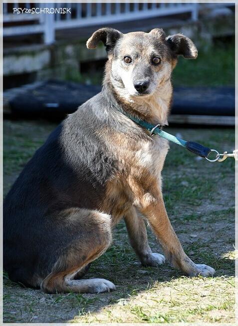 Flora: coraz bardziej ufa ludziom