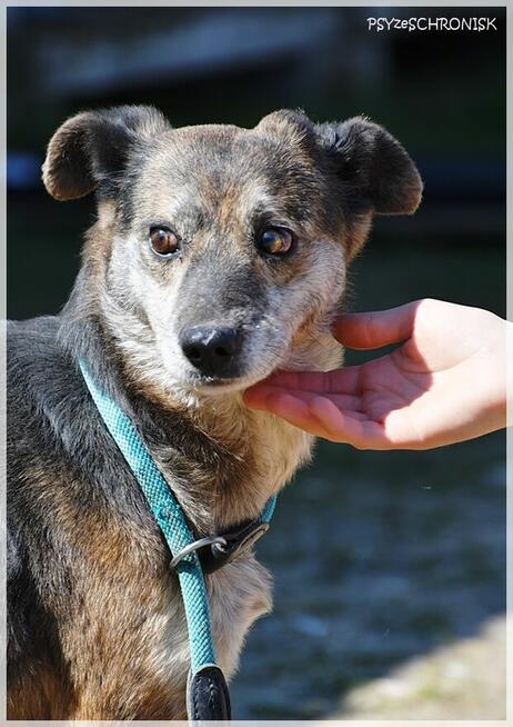 Flora: coraz bardziej ufa ludziom