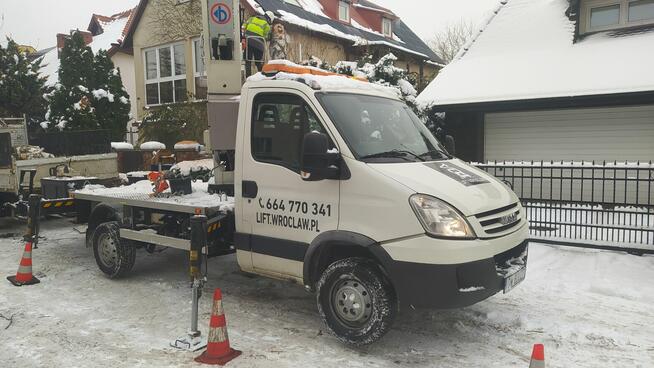 Wycinka pielęgnacja drzew ściąganie jemioły usuwanie posuszu