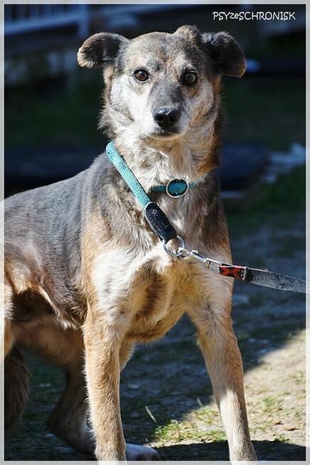 Flora: coraz bardziej ufa ludziom