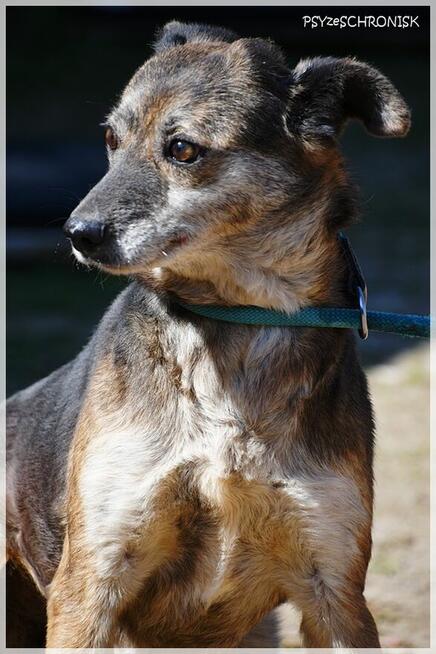 Flora: coraz bardziej ufa ludziom