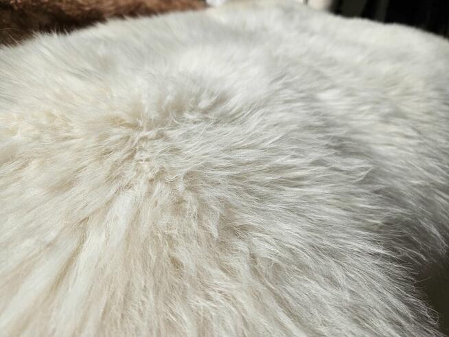 skóra owcza skóry owcze koce kołdry wełniane Narzuty dywany