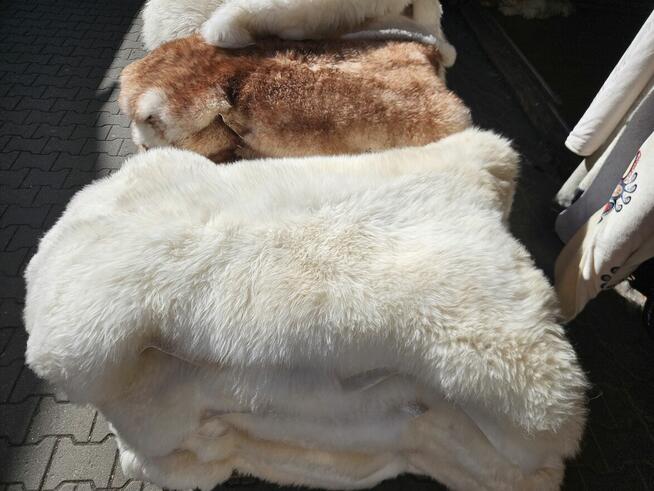 skóra owcza skóry owcze koce kołdry wełniane Narzuty dywany