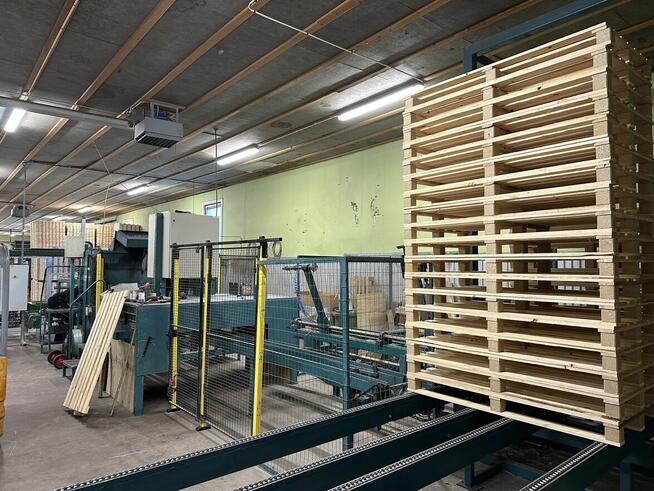 LG - linia do montazu/zbijania palet jednorazowych i EURO