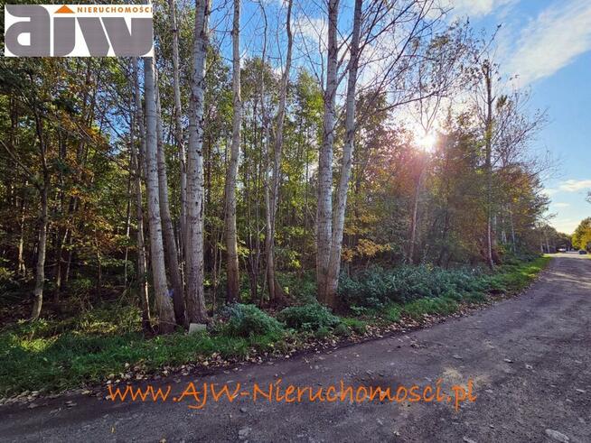 Działka budowlana Laski gm. Izabelin, gm. Izabelin