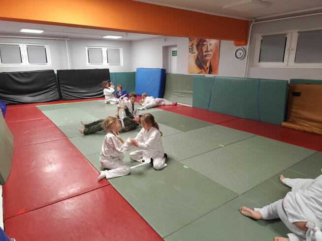 Dla przedszkolaków: zajęcia z elementami JUDO.