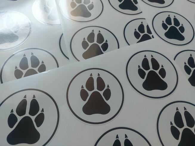 25.10 Dzień Kundelka - symboliczne naklejki