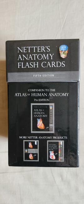 Netters Anatomy flash cards John Hansen