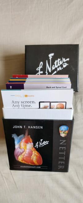 Netters Anatomy flash cards John Hansen