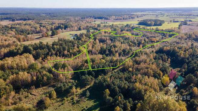 Działka siedliskowa 11 ha, Butryny, prywatny las