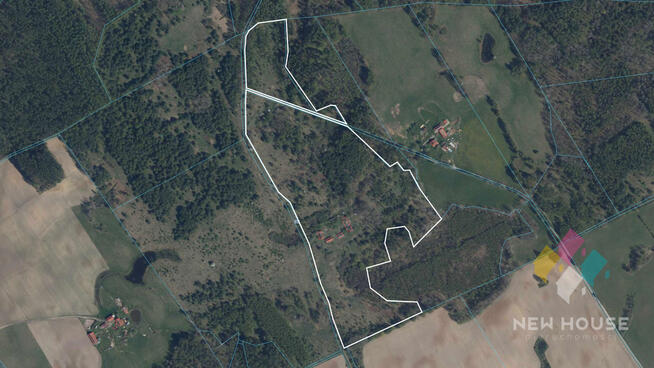 Działka siedliskowa 11 ha, Butryny, prywatny las