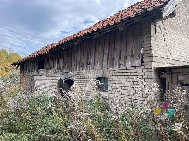 Działka siedliskowa 11 ha, Butryny, prywatny las