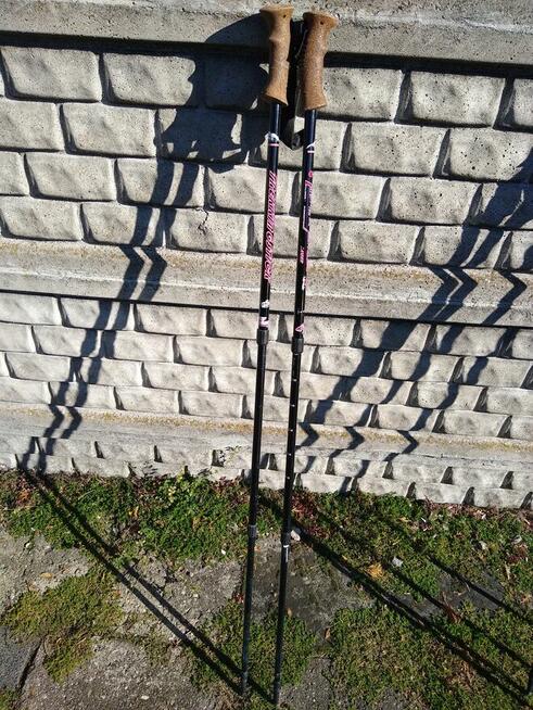 Kijki, kije do nordic walking, aluminiowe, 50 zł.
