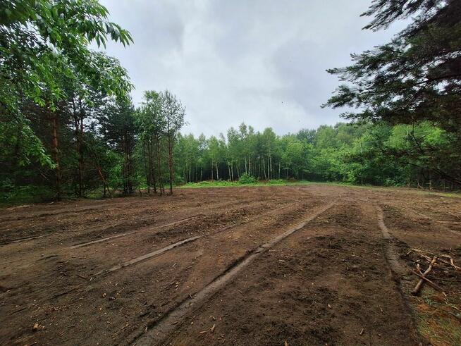 Działka 6450m2 Jura Krakowsko Częstochowska