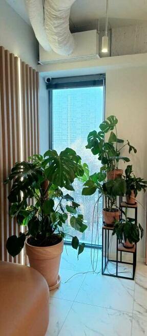 Grzybowska Park –Komfortowe Biura na Grzybowska 5a