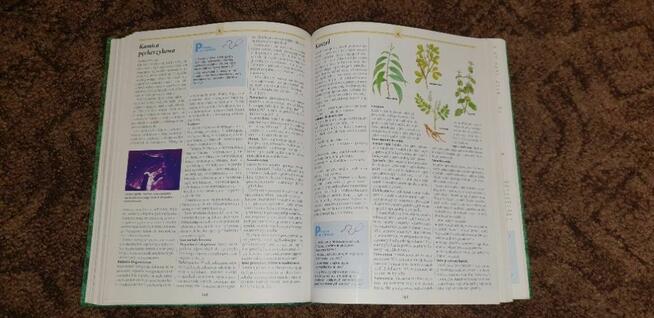 Rodzinna encyklopedia zdrowia