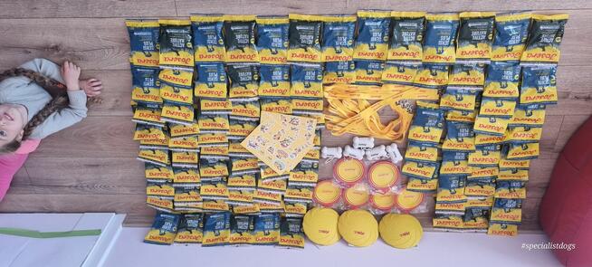 Hotel dla zwierząt Nowy Sącz, Małopolska