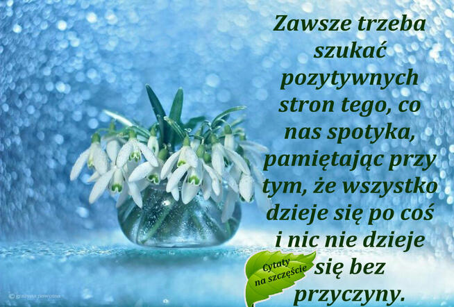 Potrzebna miła pani