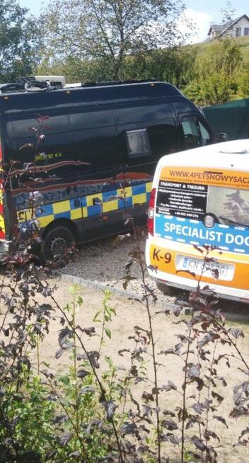 Hotel dla zwierząt Nowy Sącz, Małopolska