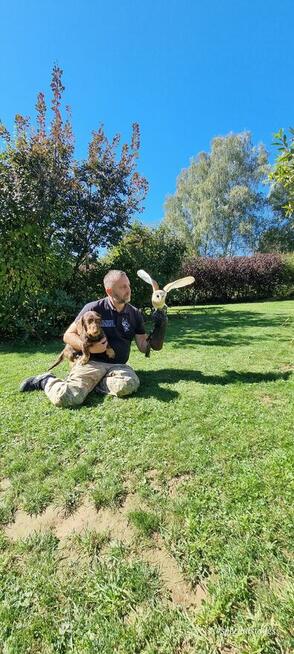Hotel dla zwierząt Nowy Sącz, Małopolska