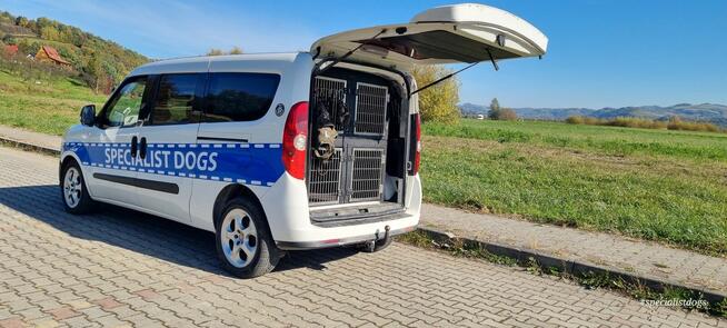 Hotel dla zwierząt Nowy Sącz, Małopolska