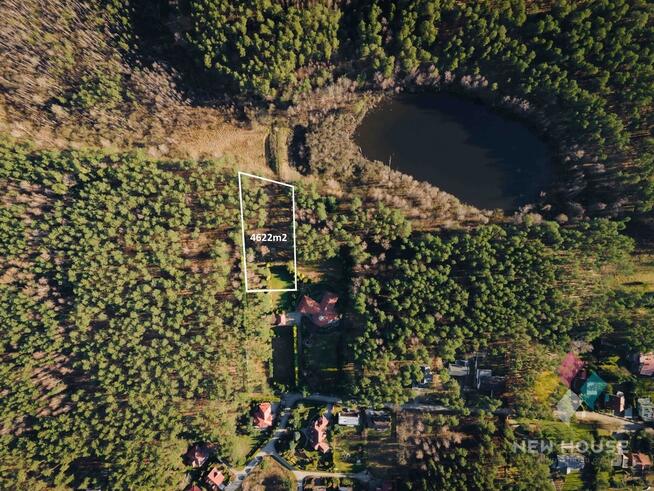 Działka budowlana,las, willowa dzielnica Redykajny