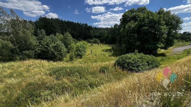 Działka z możliwością zabudowy usługowej, domu